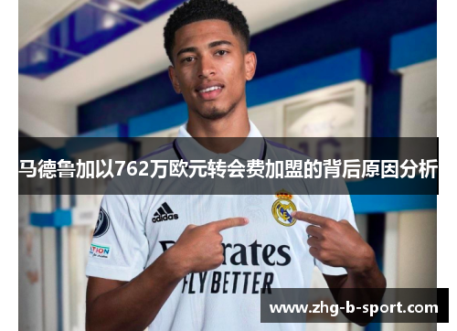 马德鲁加以762万欧元转会费加盟的背后原因分析